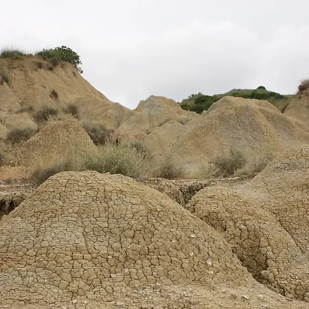 Couette-café Le Zagare Montalbano Ionico