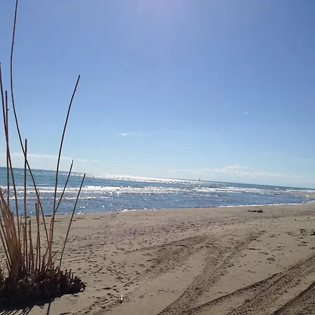 Oda ve Kahvaltı Le Zagare Montalbano Ionico