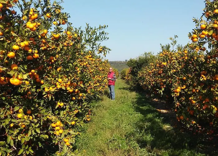 Oda ve Kahvaltı Le Zagare Montalbano Ionico