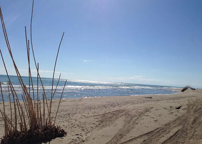 Frühstückspension Le Zagare Montalbano Ionico